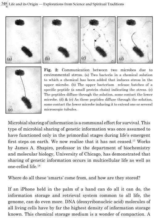 LIFE And ITS ORIGIN - Exploration from Science and Spiritual Traditions - Image 25