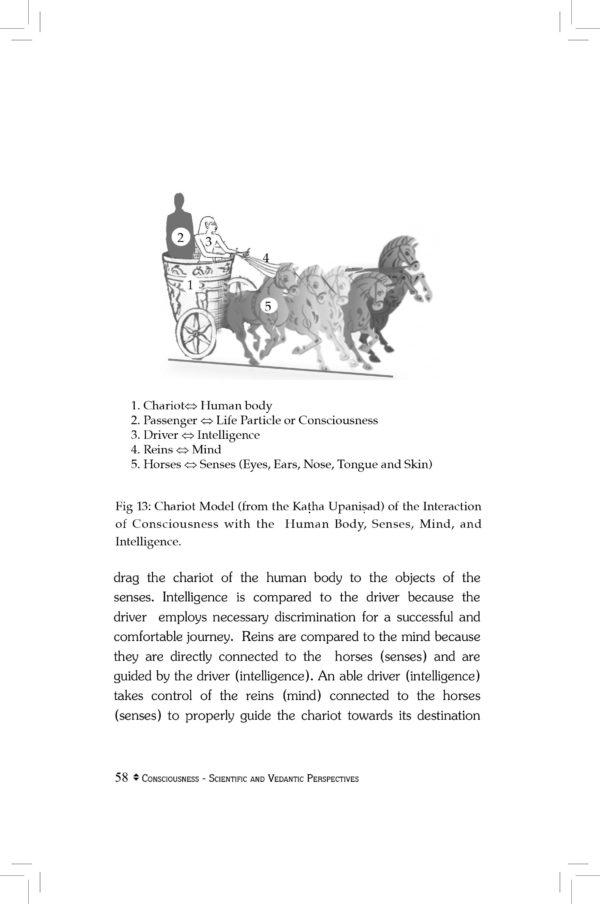 CONSCIOUSNESS- Scientific and Vedantic Perspectives - Image 6