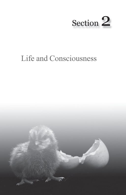 Science and Spiritual Quest-Proceedings of the 6th All India Students' Conference - Image 10