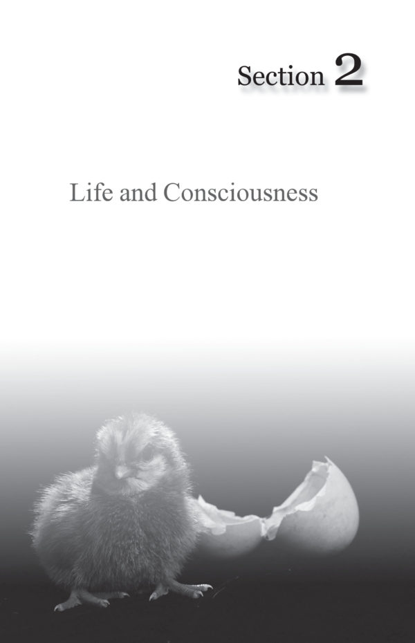 Science and Spiritual Quest-Proceedings of the 6th All India Students' Conference - Image 10