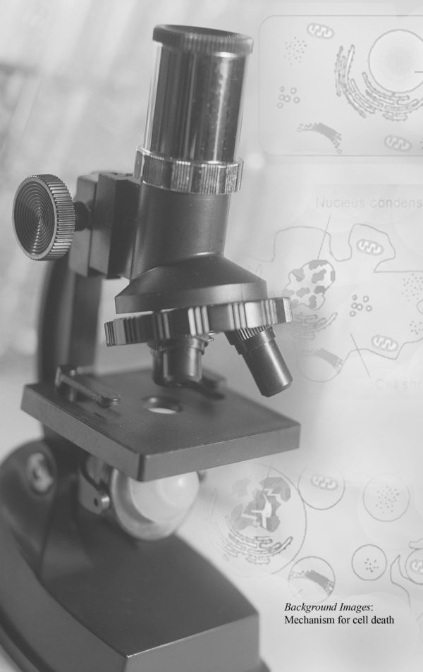 Vedanta and the Science of Aging - Image 4