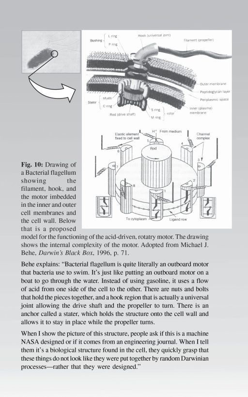 GOD, Intelligent Design and Fine Tuning - Image 5