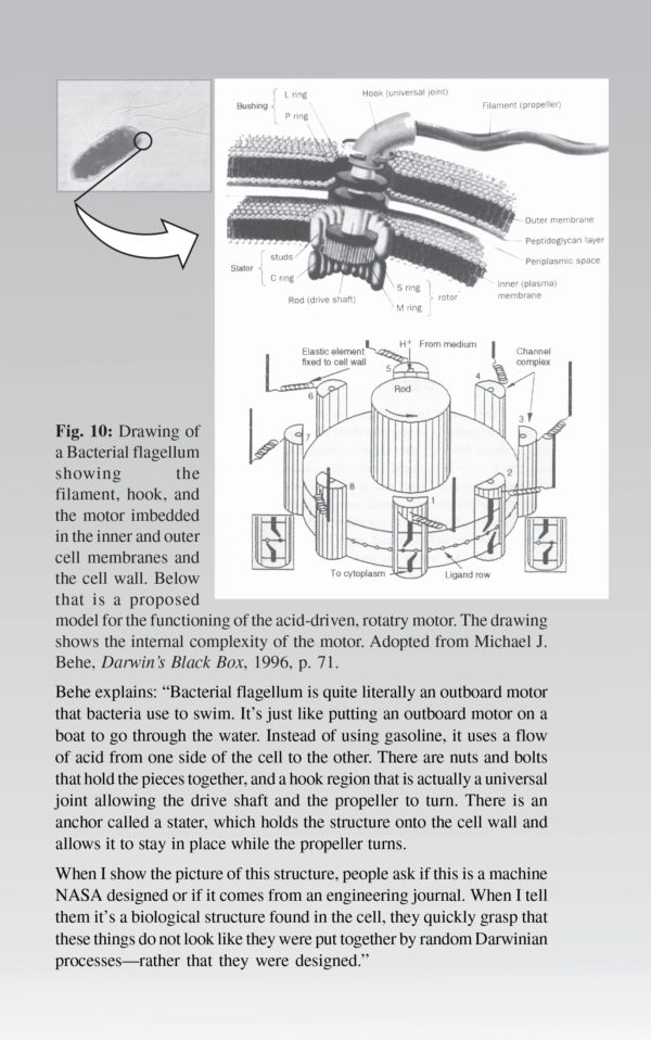 GOD, Intelligent Design and Fine Tuning - Image 5