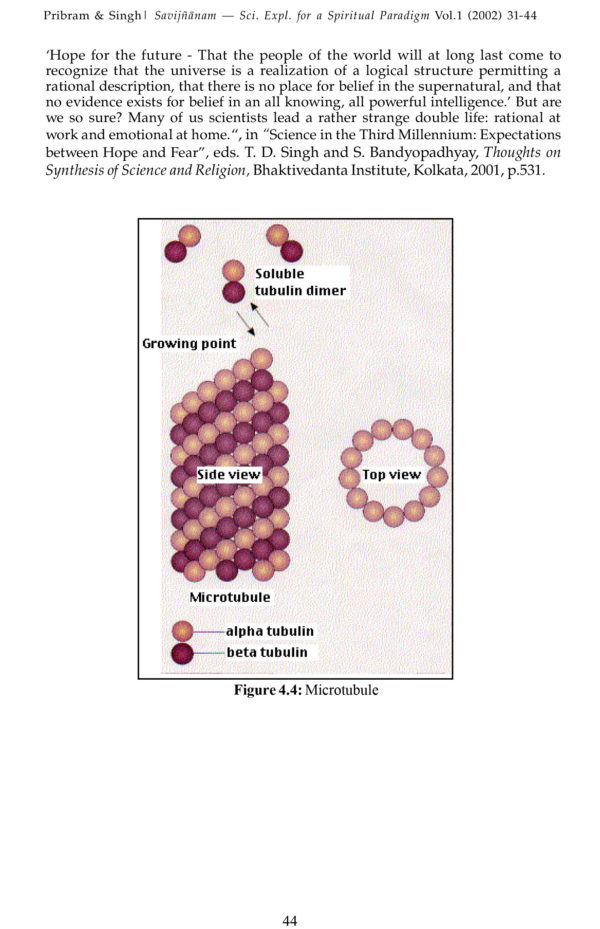 SAVIJNANAM - Scientific Exploration for a Spiritual Paradigm - Vol 1 - Image 13