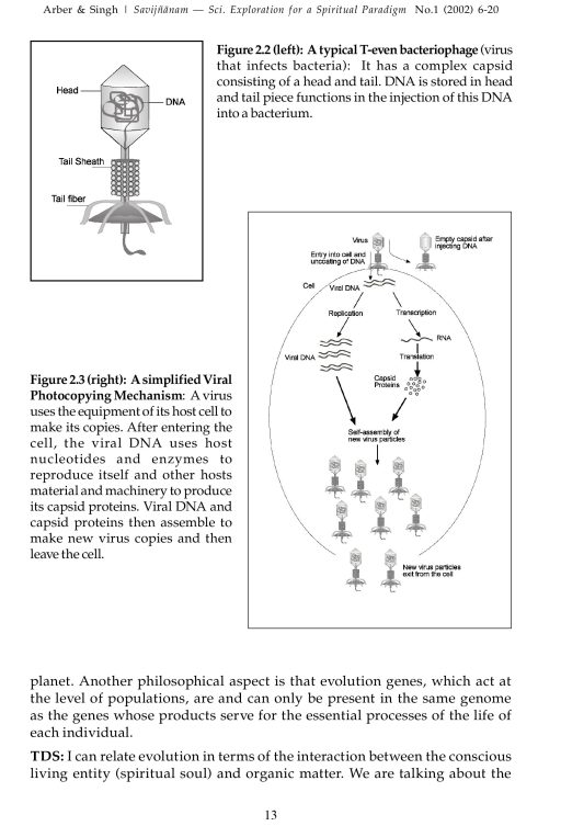 SAVIJNANAM - Scientific Exploration for a Spiritual Paradigm - Vol 1 - Image 8