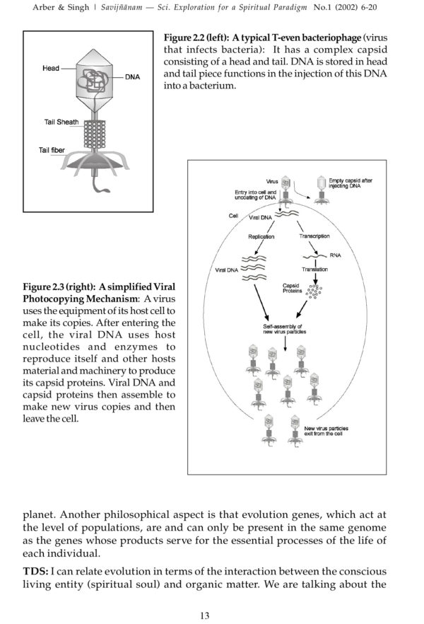 SAVIJNANAM - Scientific Exploration for a Spiritual Paradigm - Vol 1 - Image 8
