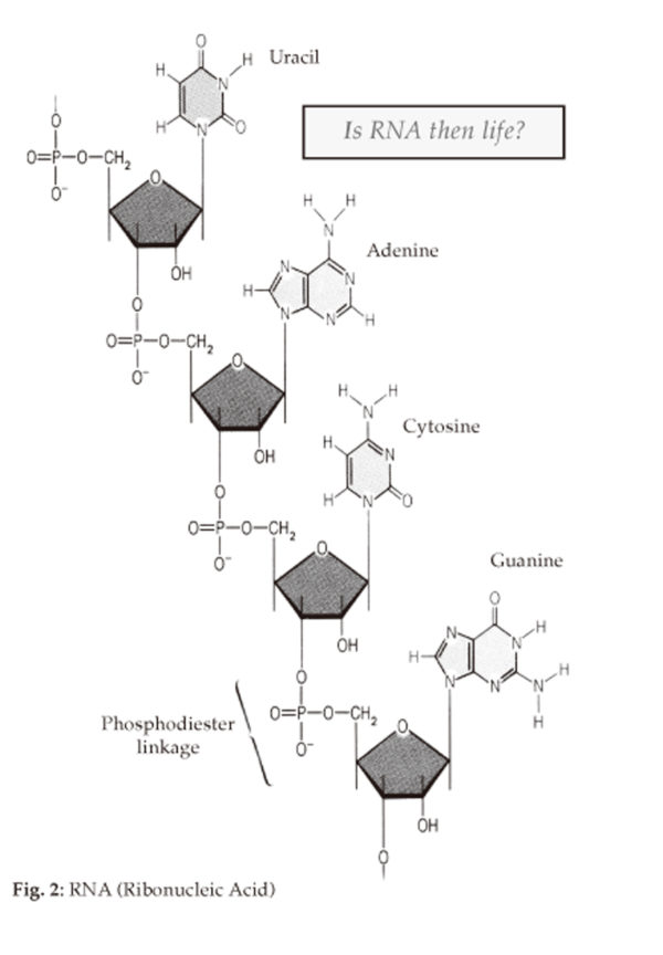 Essays on Science & Religion - Image 6