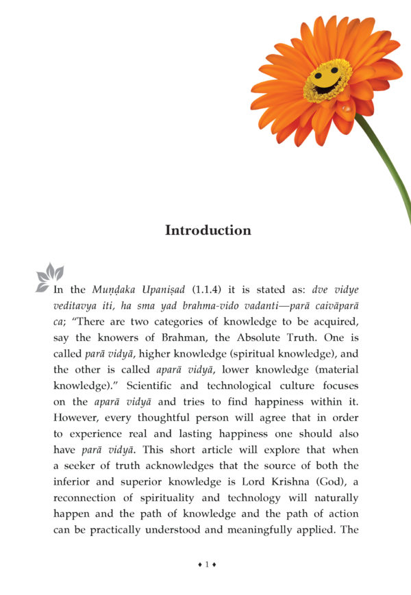 VEDANTA & HAPPINESS - Image 4