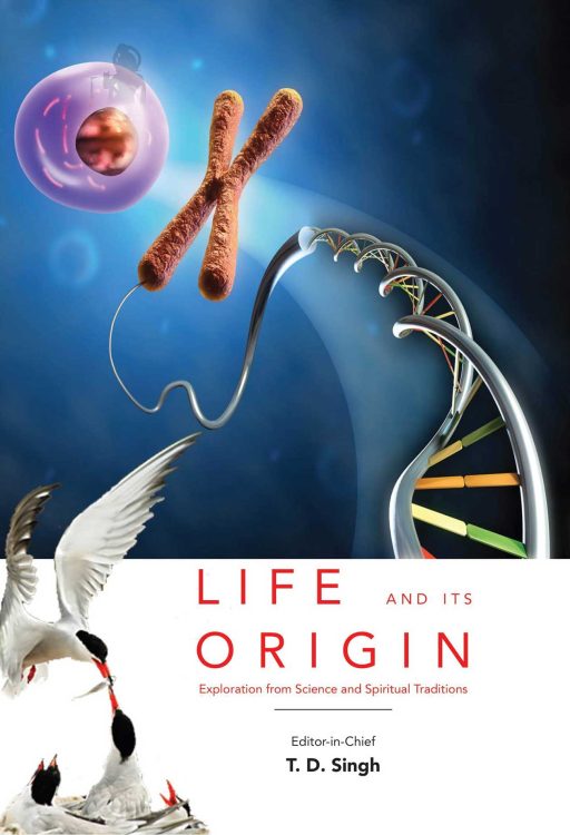 Life Bundle - Image 6