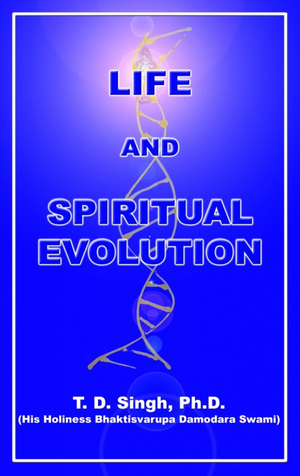 Life Bundle - Image 5